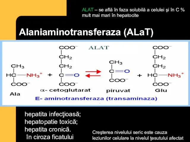 Alaniaminotransferaza (ALaT) ALAT – se află în faza solubilă a celulei