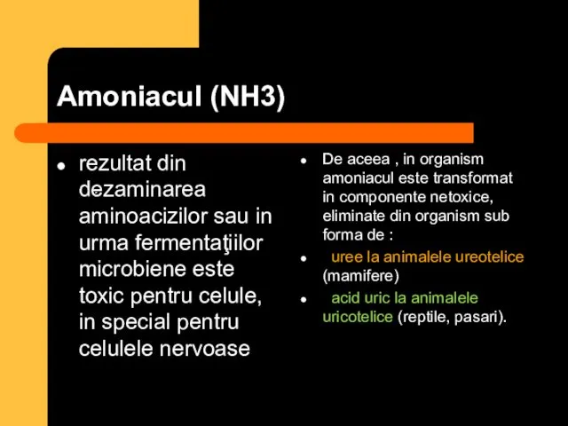 Amoniacul (NH3) rezultat din dezaminarea aminoacizilor sau in urma fermentaţiilor microbiene