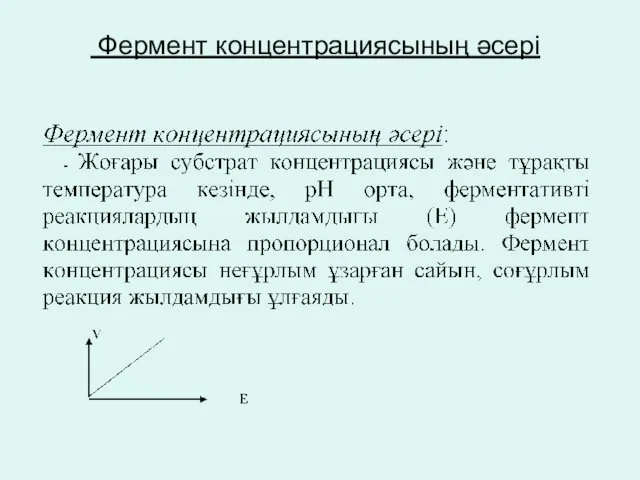 Фермент концентрациясының әсері