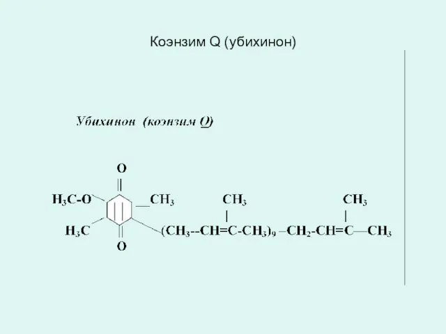 Коэнзим Q (убихинон)