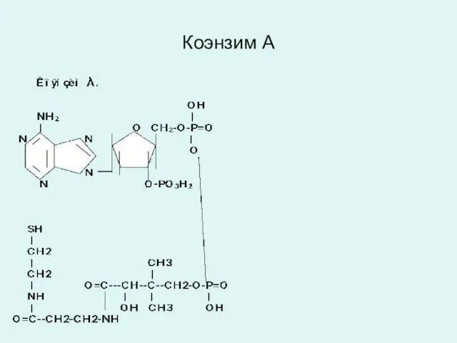 Коэнзим А