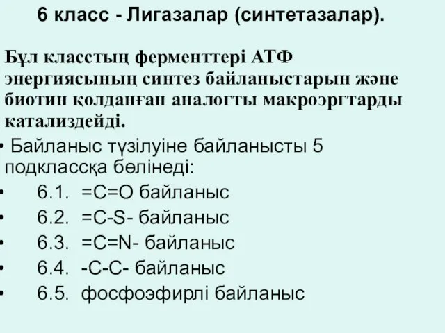 6 класс - Лигазалар (синтетазалар). Бұл класстың ферменттері АТФ энергиясының синтез