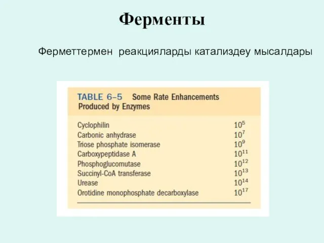 Ферметтермен реакцияларды катализдеу мысалдары Ферменты