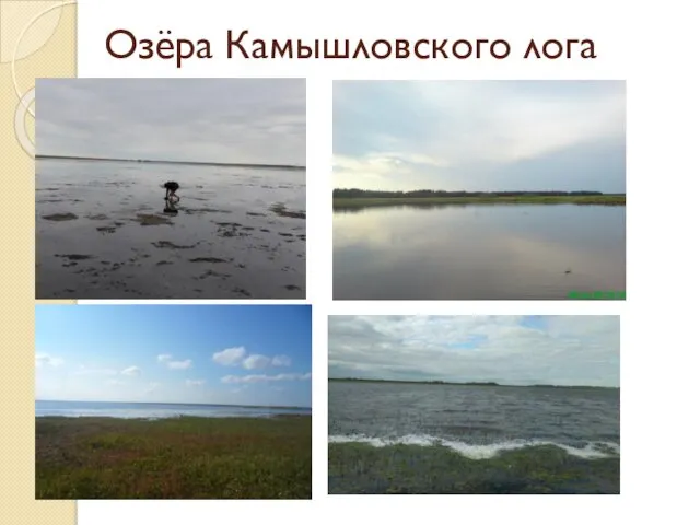 Озёра Камышловского лога