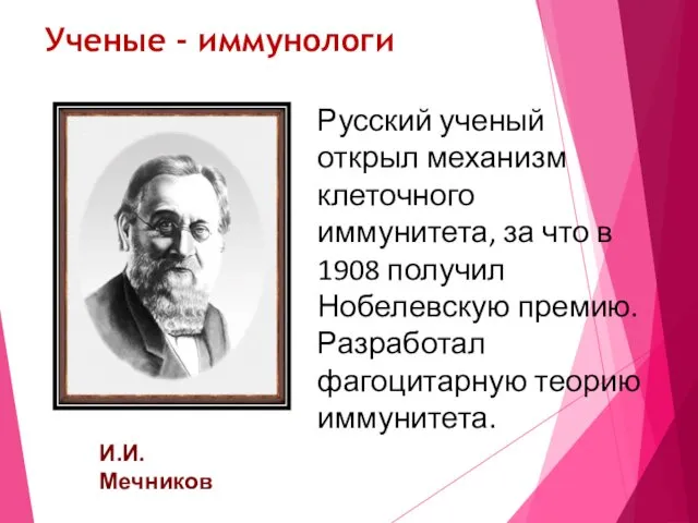 Ученые - иммунологи И.И.Мечников Русский ученый открыл механизм клеточного иммунитета, за