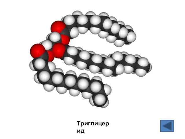 Триглицерид