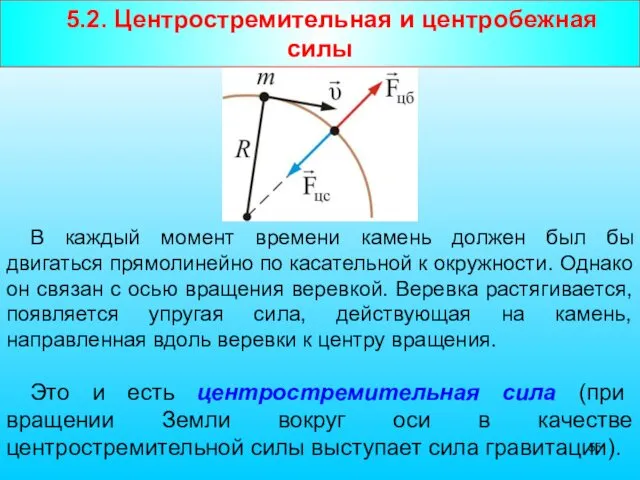 5.2. Центростремительная и центробежная силы В каждый момент времени камень должен