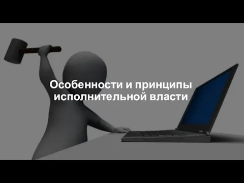 Особенности и принципы исполнительной власти