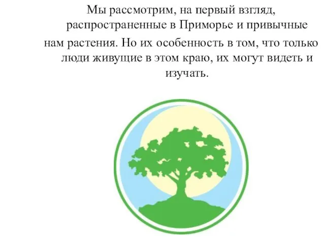 Мы рассмотрим, на первый взгляд, распространенные в Приморье и привычные нам