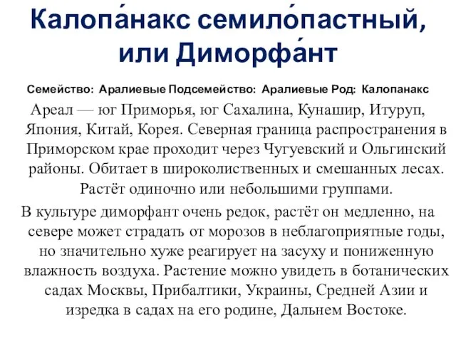 Калопа́накс семило́пастный, или Диморфа́нт Семейство: Аралиевые Подсемейство: Аралиевые Род: Калопанакс Ареал