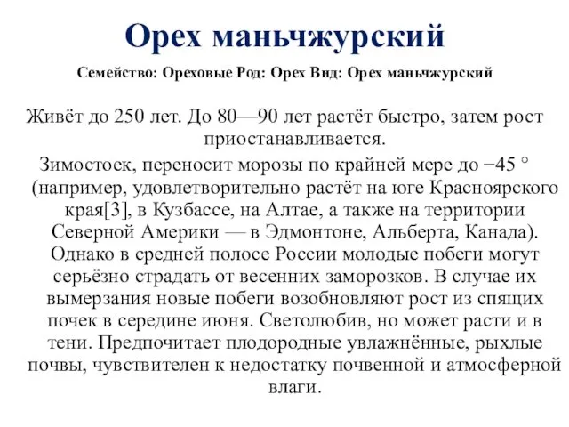 Орех маньчжурский Семейство: Ореховые Род: Орех Вид: Орех маньчжурский Живёт до