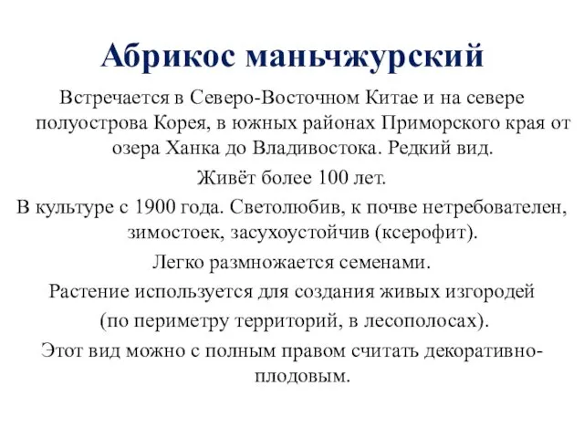 Абрикос маньчжурский Встречается в Северо-Восточном Китае и на севере полуострова Корея,