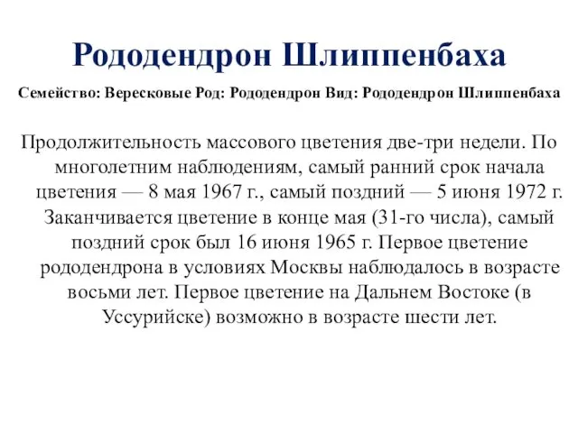 Рододендрон Шлиппенбаха Семейство: Вересковые Род: Рододендрон Вид: Рододендрон Шлиппенбаха Продолжительность массового