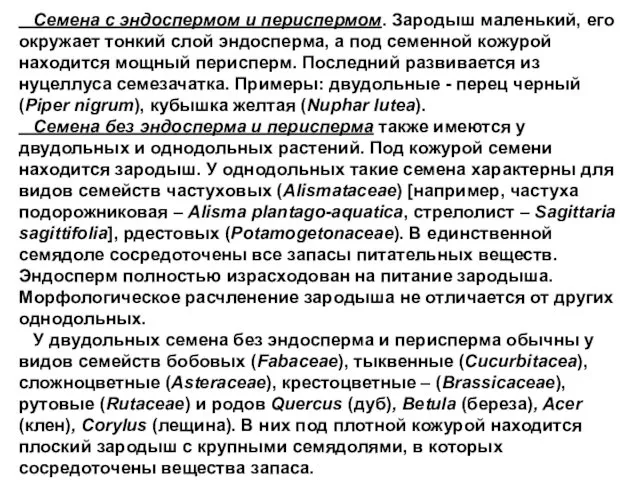 Cемена с эндоспермом и периспермом. Зародыш маленький, его окружает тонкий слой