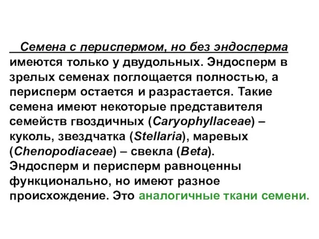 Семена с периспермом, но без эндосперма имеются только у двудольных. Эндосперм