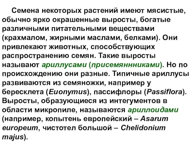 Семена некоторых растений имеют мясистые, обычно ярко окрашенные выросты, богатые различными