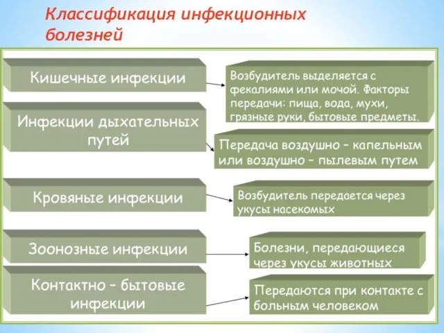 Классификация инфекционных болезней