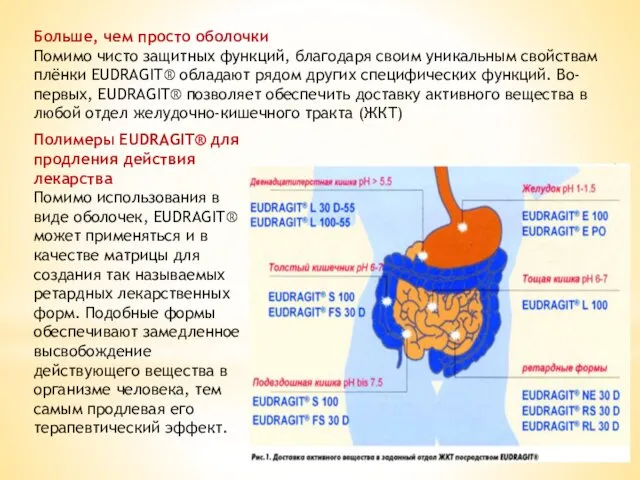 Больше, чем просто оболочки Помимо чисто защитных функций, благодаря своим уникальным