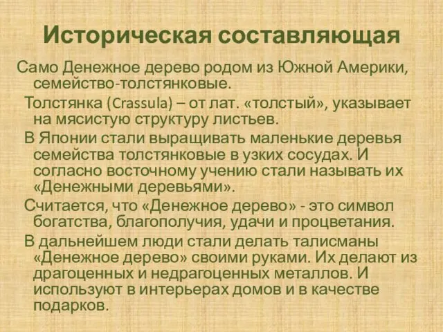 Историческая составляющая Само Денежное дерево родом из Южной Америки, семейство-толстянковые. Толстянка