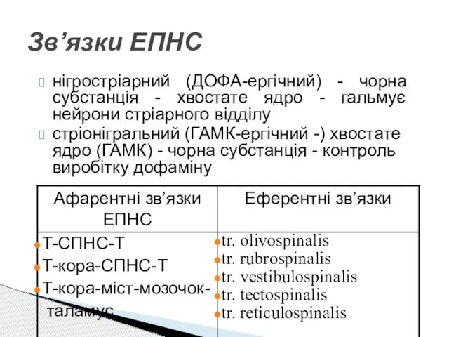 нігростріарний (ДОФА-ергічний) - чорна субстанція - хвостате ядро - гальмує нейрони