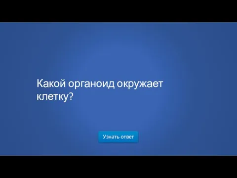 Узнать ответ Какой органоид окружает клетку?