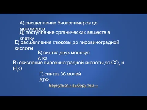 Вернуться к выбору тем→ А) расщепление биополимеров до мономеров Д) поступление