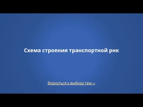 Вернуться к выбору тем→ Схема строения транспортной рнк