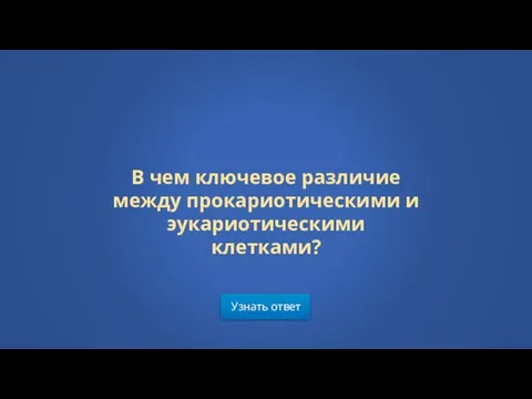 Узнать ответ В чем ключевое различие между прокариотическими и эукариотическими клетками?