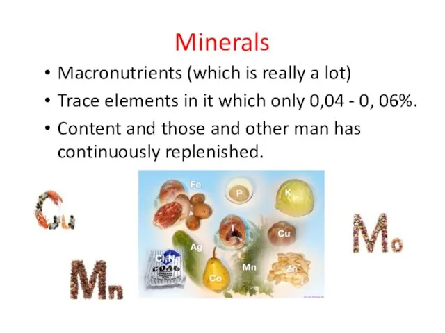 Minerals Macronutrients (which is really a lot) Trace elements in it