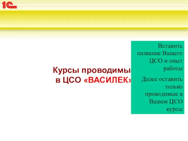 Курсы проводимые в ЦСО «ВАСИЛЕК» Вставить название Вашего ЦСО и опыт