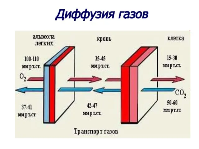 Диффузия газов