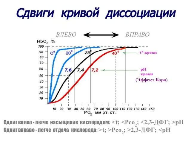 Сдвиги кривой диссоциации ВЛЕВО ВПРАВО Сдвиг влево - легче насыщение кислородом: