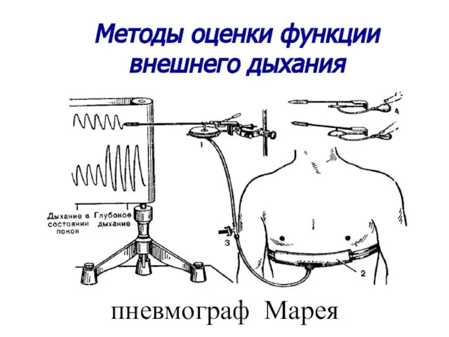 пневмограф Марея Методы оценки функции внешнего дыхания