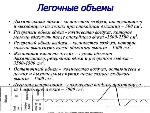 Легочные объемы Дыхательный объем - количество воздуха, поступающего и выходящего из