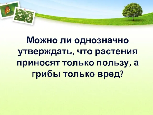 Можно ли однозначно утверждать, что растения приносят только пользу, а грибы только вред?