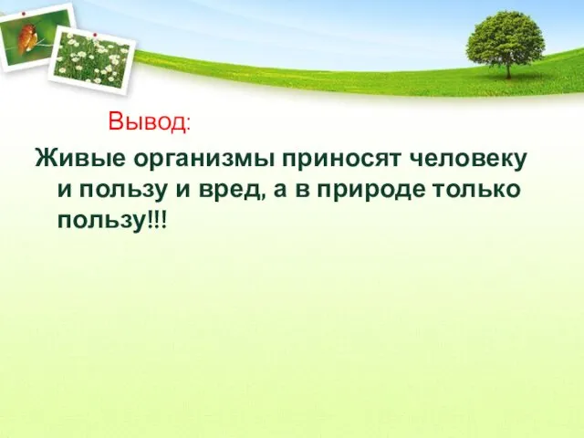 Вывод: Живые организмы приносят человеку и пользу и вред, а в природе только пользу!!!