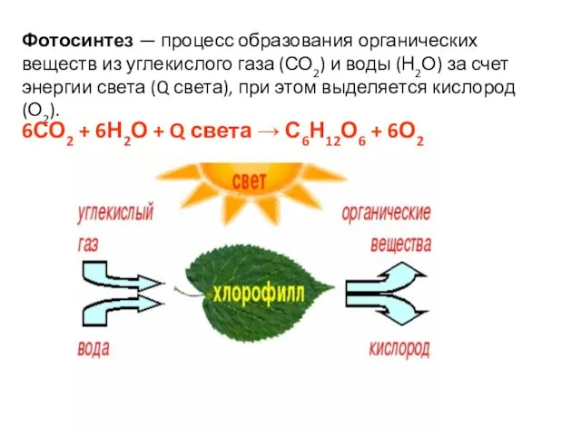 Фотосинтез — процесс образования органических веществ из углекислого газа (СО2) и