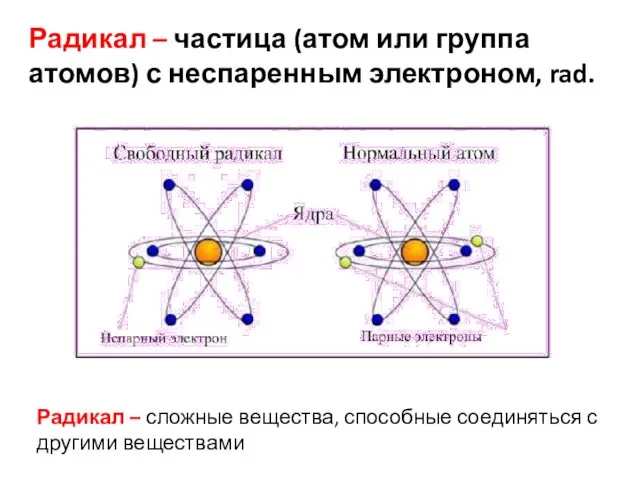 Радикал – частица (атом или группа атомов) с неспаренным электроном, rad.