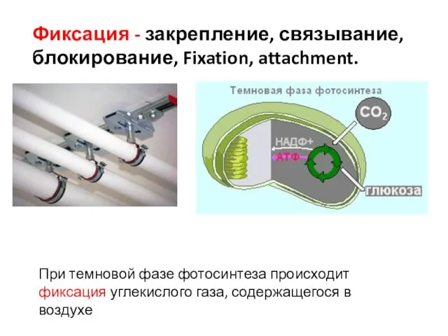 Фиксация - закрепление, связывание, блокирование, Fixation, attachment. При темновой фазе фотосинтеза