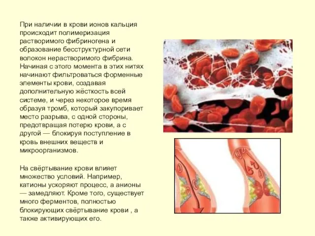 При наличии в крови ионов кальция происходит полимеризация растворимого фибриногена и