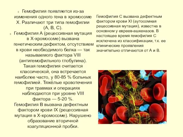 Гемофилия появляется из-за изменения одного гена в хромосоме X. Различают три