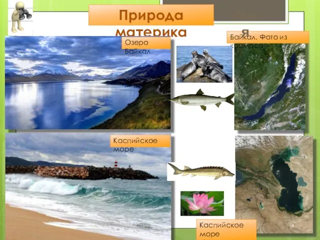 Природа материка Озеро Байкал Байкал. Фото из космоса Каспийское море Каспийское море Фото из космоса Азия