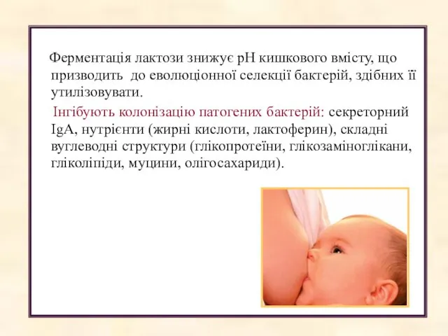 Ферментація лактози знижує рН кишкового вмісту, що призводить до еволюціонної селекції