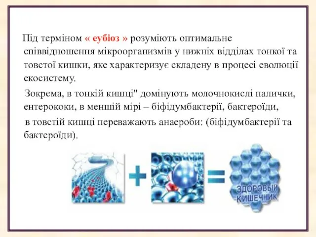 Під терміном « еубіоз » розуміють оптимальне співвідношення мікроорганизмів у нижніх