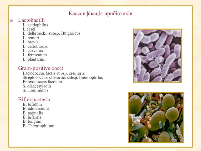 Классифікація пробіотиків Lactobacilli L. acidophilus L.casei L. delbrueckii subsp. Bulgaricus L.