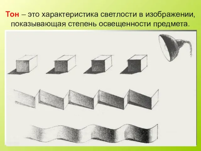 Тон – это характеристика светлости в изображении, показывающая степень освещенности предмета.