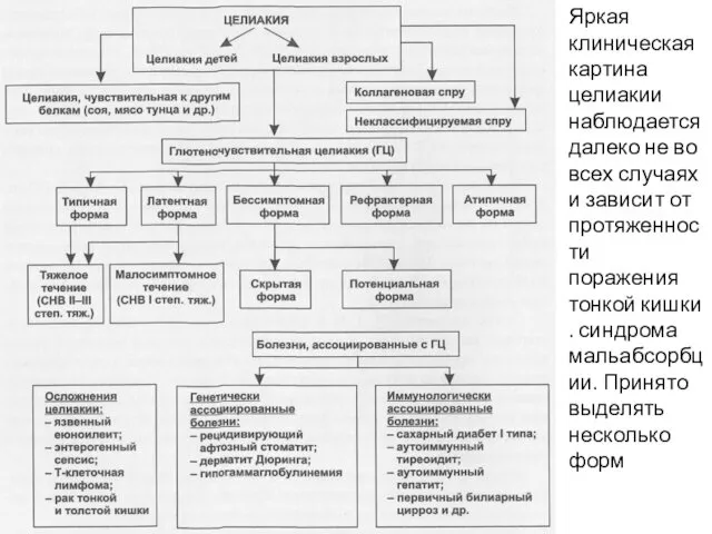 Яркая клиническая картина целиакии наблюдается далеко не во всех случаях и