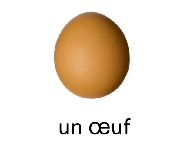 un œuf