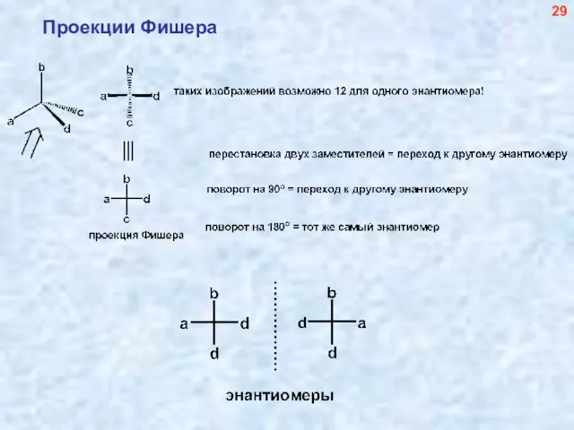 Проекции Фишера 29