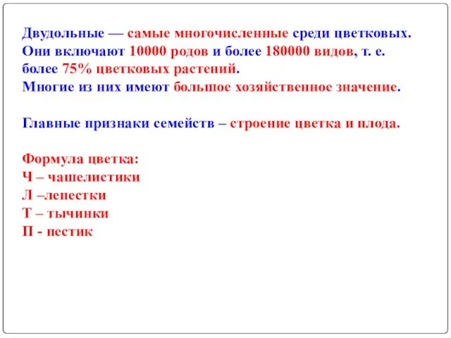 Двудольные — самые многочисленные среди цветковых. Они включают 10000 родов и